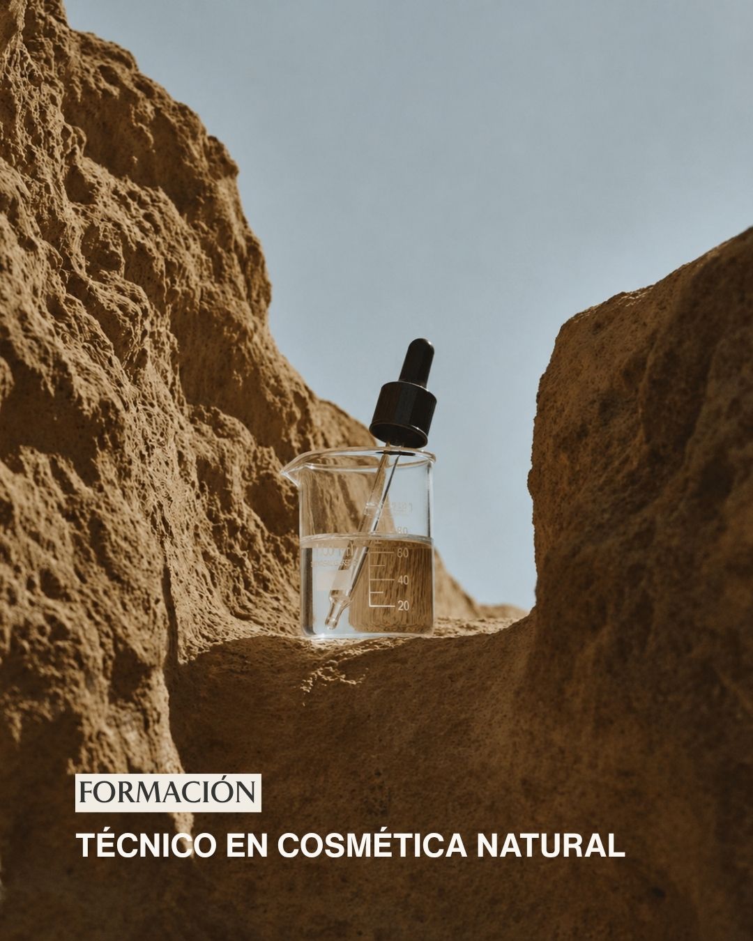 Curso Técnico en Cosmética Natural